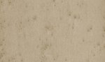 Фото Arte Lush 37509A