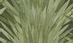 Фото Arte Selva 34001