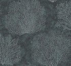 Фото Carl Robinson Edition 15 Sea Glass CR75702