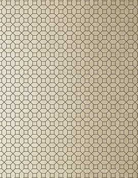 Фото Thibaut Geometric Resource 2 T11025