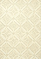 Фото Thibaut Modern Resource T430