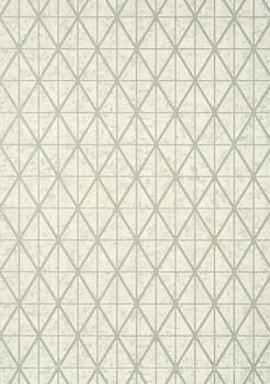 Фото Thibaut Modern Resource T447