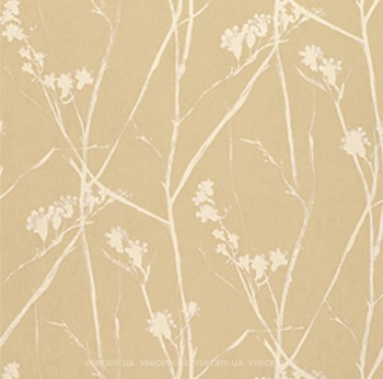 Фото Thibaut Natural Resource T7009