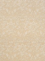 Фото Thibaut Neutral Resource T10006