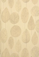 Фото Thibaut Neutral Resource T10054