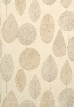 Фото Thibaut Neutral Resource T10056