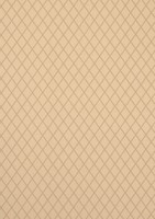 Фото Thibaut Neutral Resource T10065