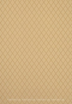 Фото Thibaut Neutral Resource T10066