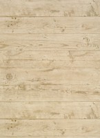 Фото Thibaut Neutral Resource T10072