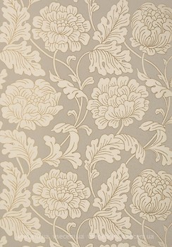 Фото Thibaut Neutral Resource T10076