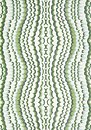 Фото Thibaut Paramount T2984