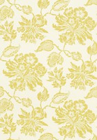 Фото Thibaut Richmond T4101