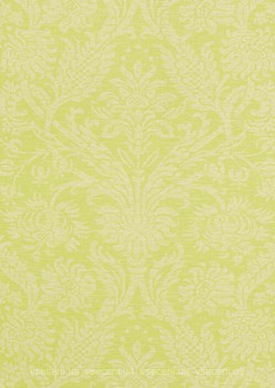 Фото Thibaut Richmond T4113