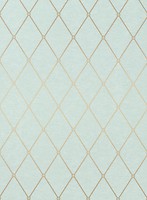 Фото Thibaut Richmond T4169