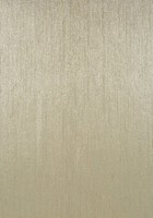 Фото Thibaut Surface Resource T4047