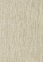 Фото Thibaut Surface Resource T3993