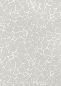 Фото Thibaut Surface Resource T4015