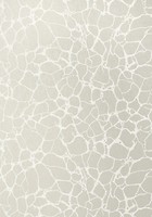 Фото Thibaut Surface Resource T4017