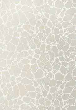 Фото Thibaut Surface Resource T4017