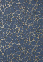 Фото Thibaut Surface Resource T4019