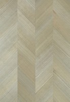 Фото Thibaut Surface Resource T4023