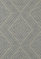 Фото Thibaut Surface Resource T4043