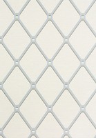 Фото Thibaut Surface Resource T4049