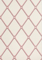 Фото Thibaut Surface Resource T4053