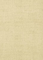 Фото Thibaut Texture Resource 3 T6812