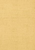 Фото Thibaut Texture Resource 3 T6813