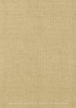 Фото Thibaut Texture Resource 3 T6817