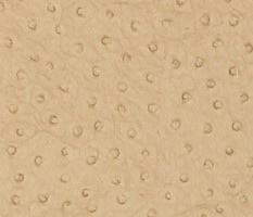 Фото Thibaut Texture Resource 3 T6828