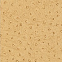 Фото Thibaut Texture Resource 3 T6829