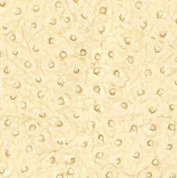 Фото Thibaut Texture Resource 3 T6830