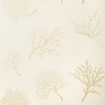 Фото Thibaut Texture Resource 3 T6855