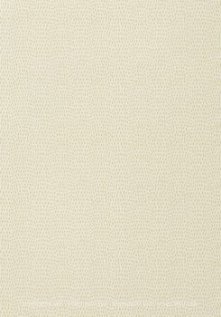 Фото Thibaut Texture Resource 5 T57152