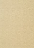 Фото Thibaut Texture Resource 5 T57155