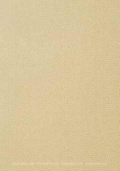 Фото Thibaut Texture Resource 5 T57155