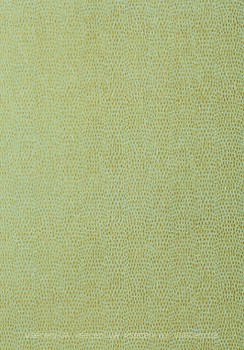 Фото Thibaut Texture Resource 5 T57156