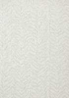 Фото Thibaut Texture Resource 5 T57168