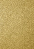 Фото Thibaut Texture Resource 5 T57170