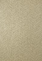 Фото Thibaut Texture Resource 5 T57171