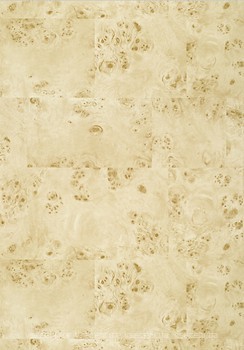 Фото Thibaut Texture Resource 6 T270