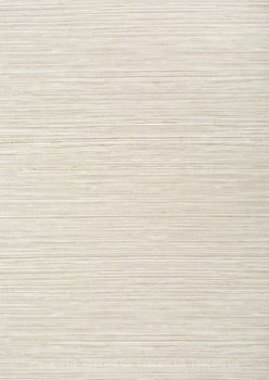 Фото Thibaut Texture Resource 6 T295