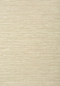 Фото Thibaut Texture Resource 6 T296