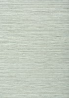 Фото Thibaut Texture Resource 6 T303