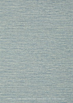 Фото Thibaut Texture Resource 6 T356