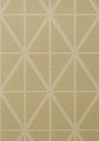 Фото Thibaut Texture Resource 6 T361