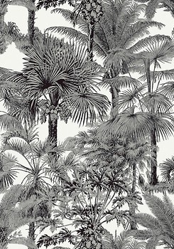 Фото Thibaut Tropics T10102