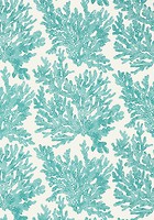 Фото Thibaut Tropics T10121